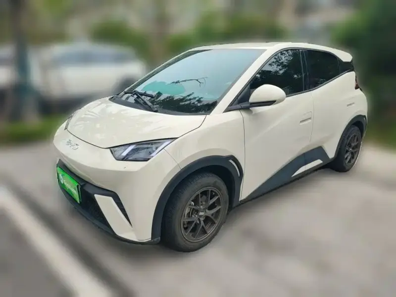 BYD Seagull, 2024