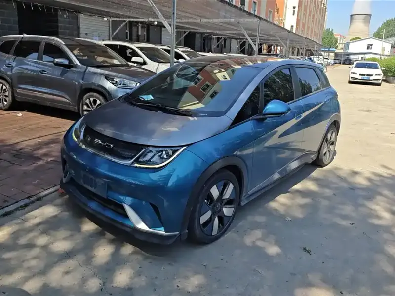 BYD Dolphin, 2022