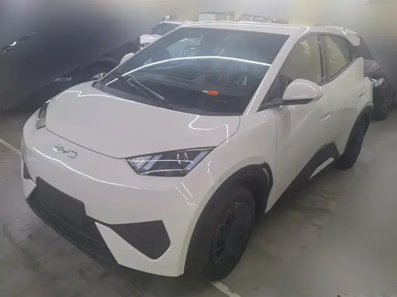 BYD Seagull, 2025