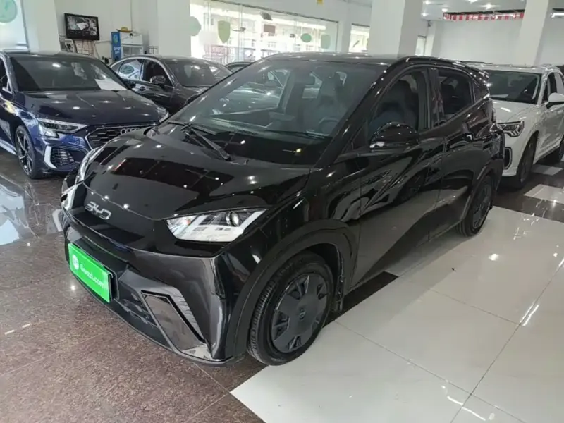 BYD Seagull, 2025