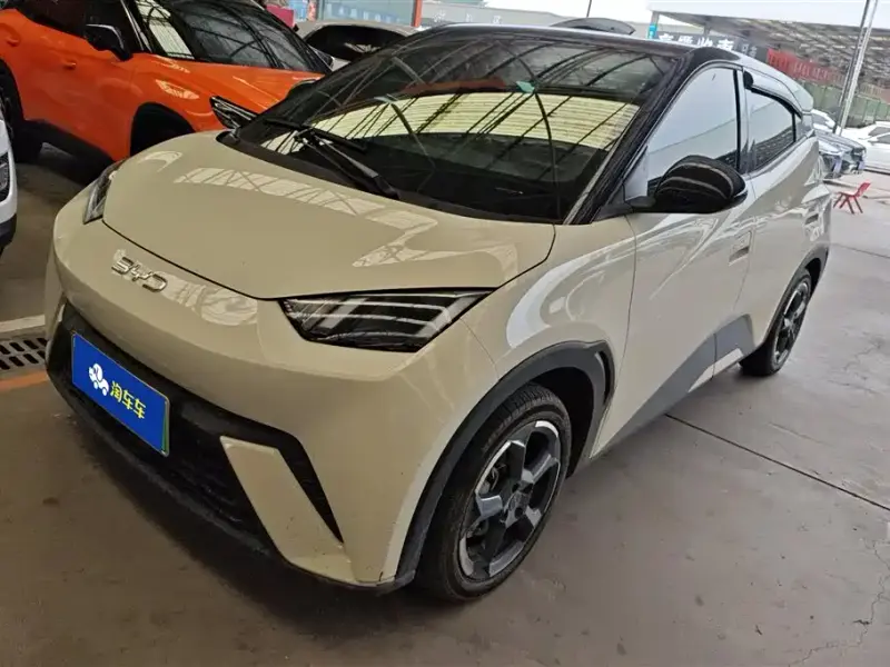BYD Seagull, 2024