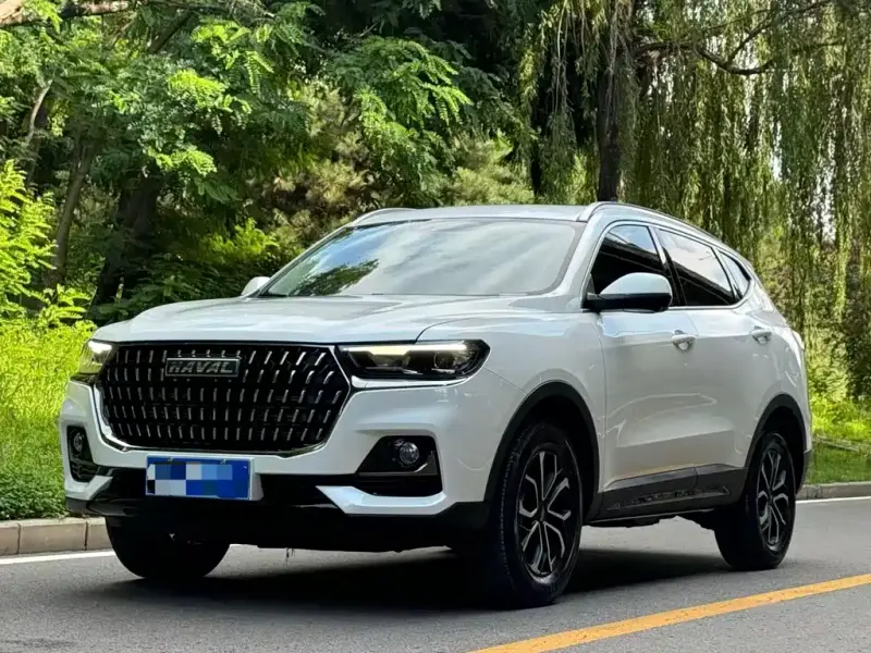 Haval H6, 2024