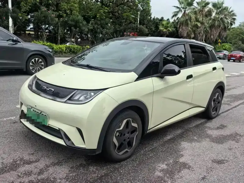 BYD Dolphin, 2022