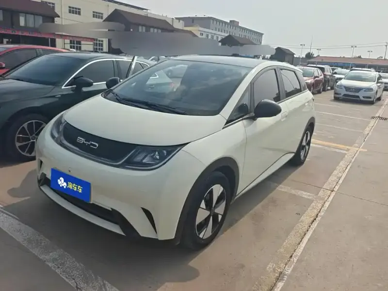 BYD Dolphin, 2023