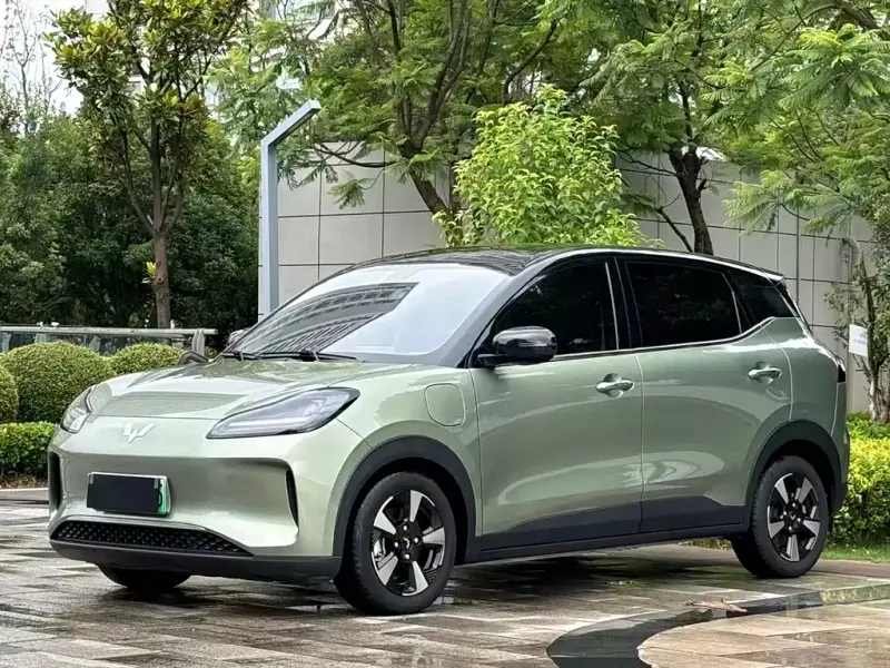 Wuling Bingo PLUS, 2024