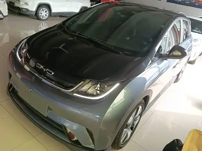 BYD Dolphin, 2023