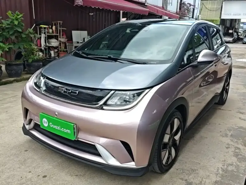BYD Dolphin, 2023