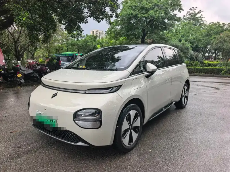 Baojun Yunduo, 2024