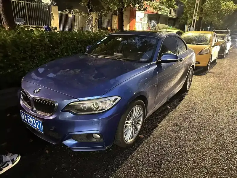 BMW 2 Series (Import), 2015