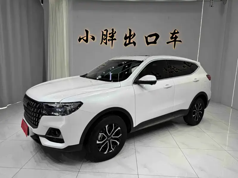 Haval H6, 2023