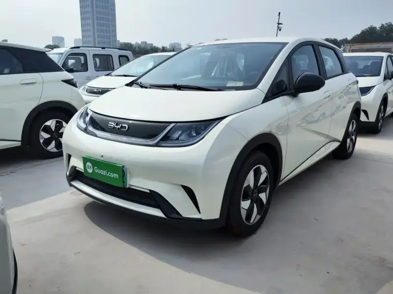 BYD Dolphin, 2026