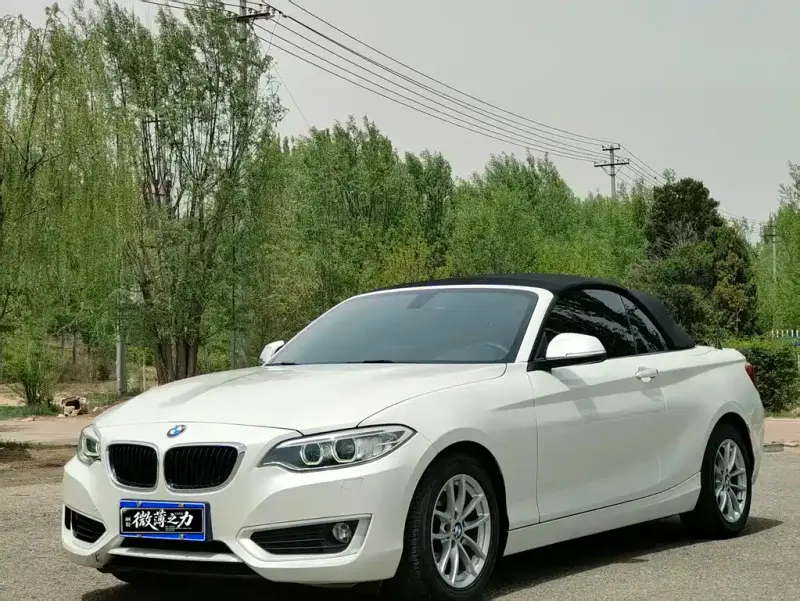 BMW 2 Series (Import), 2016