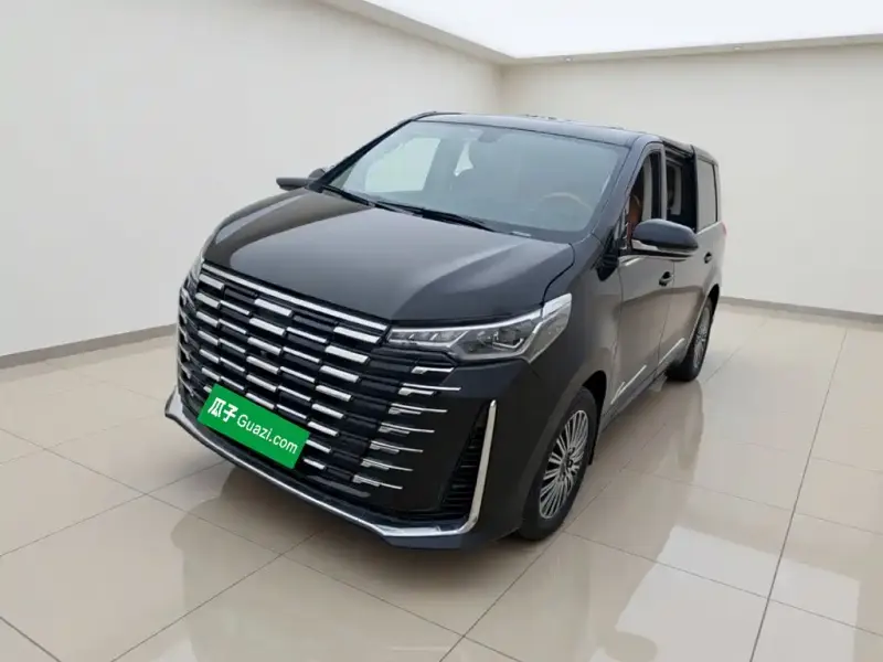 Maxus G10, 2024