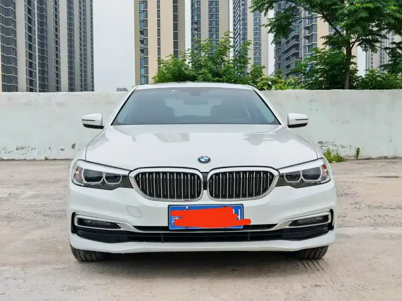 BMW 5 Series, 2019