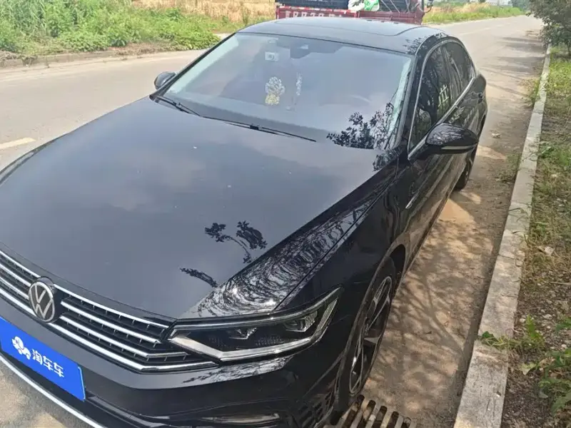 Volkswagen Magotan, 2024