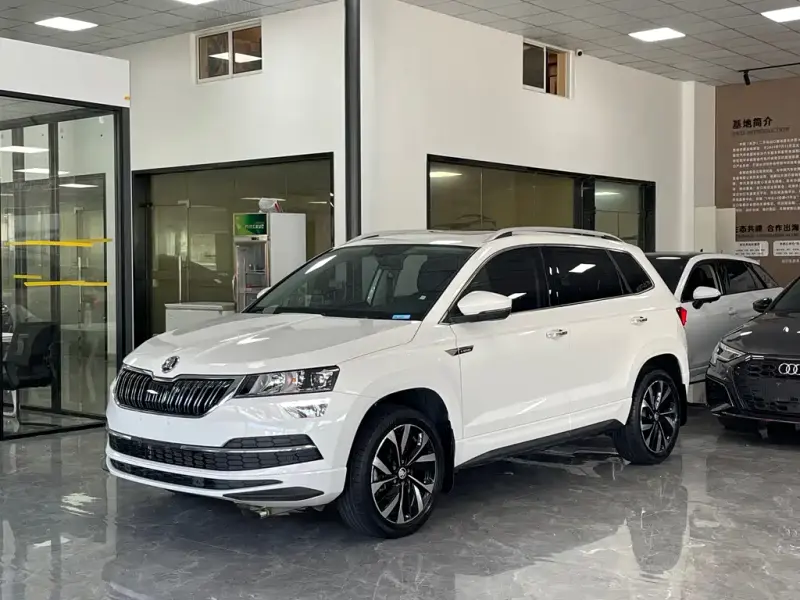 Skoda Karoq, 2021