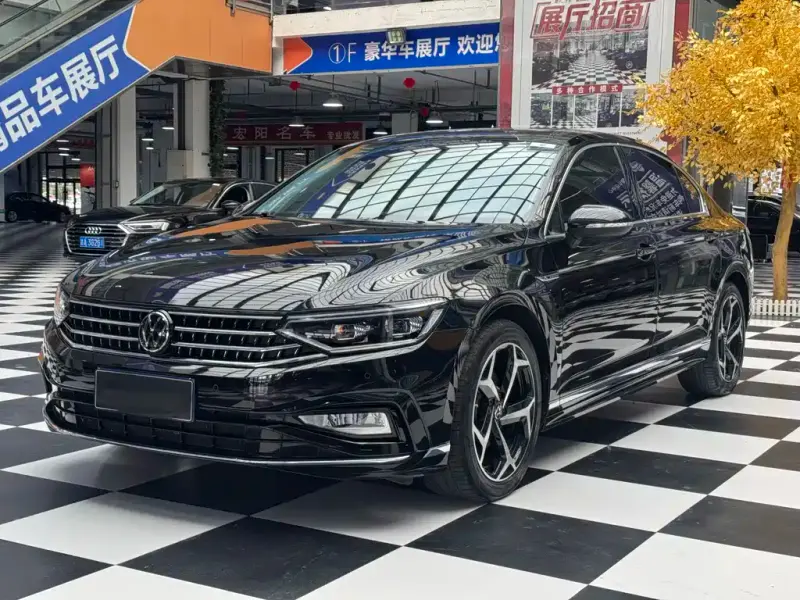 Volkswagen Magotan, 2024