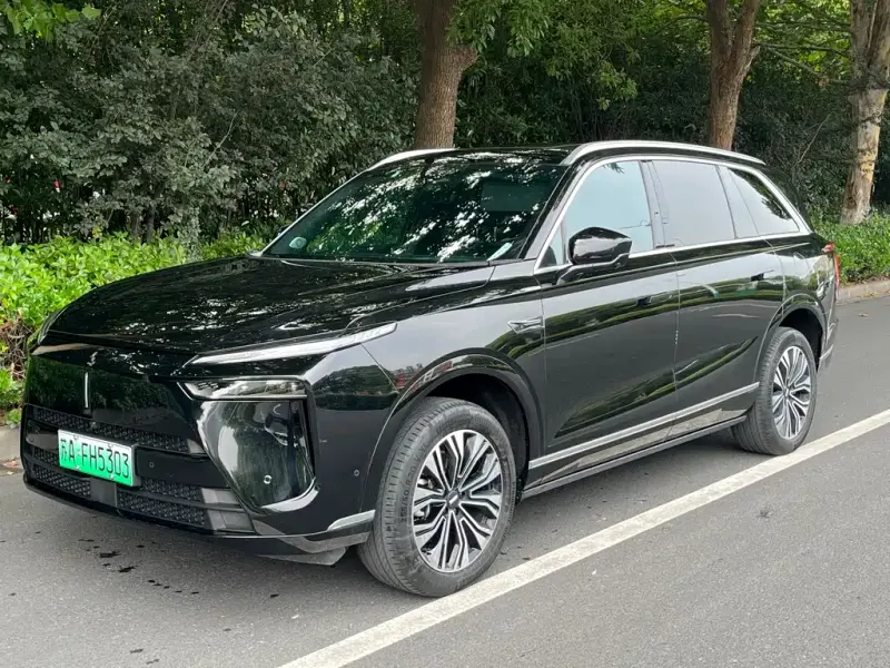 Wey Lanshan, 2024