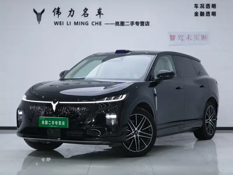 VOYAH Zhiyin, 2025