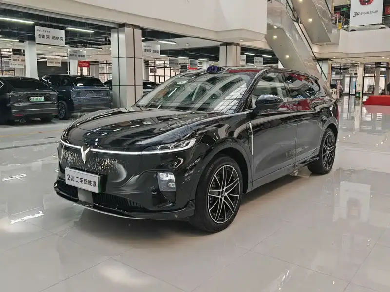 VOYAH Zhiyin, 2025