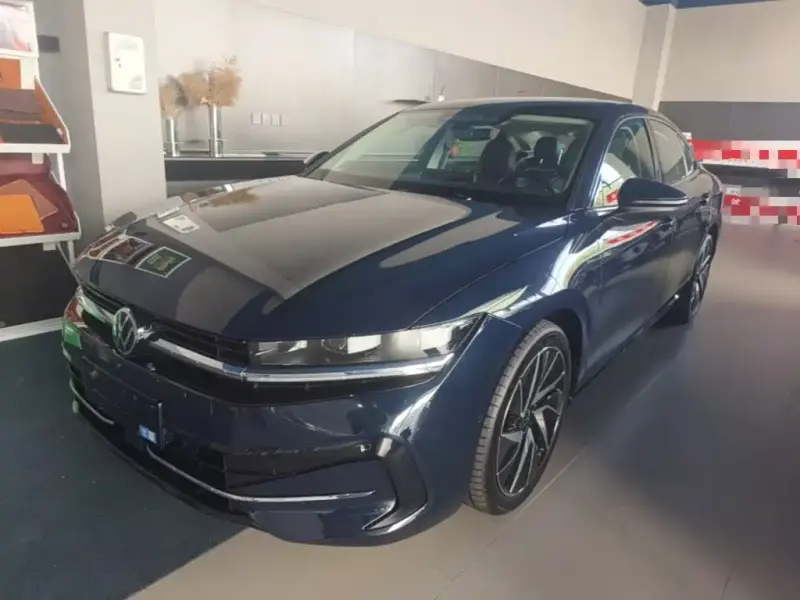 Volkswagen Magotan, 2024
