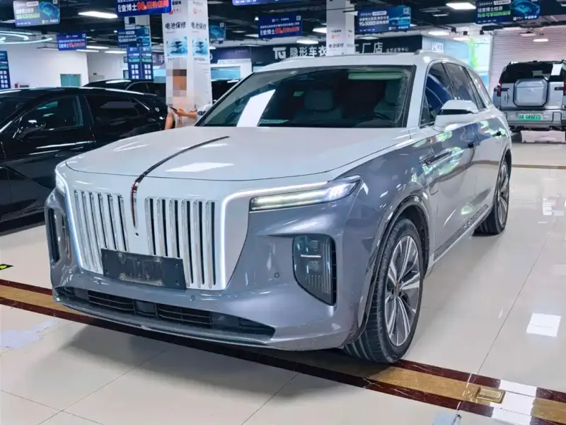 Hongqi E-HS9, 2021