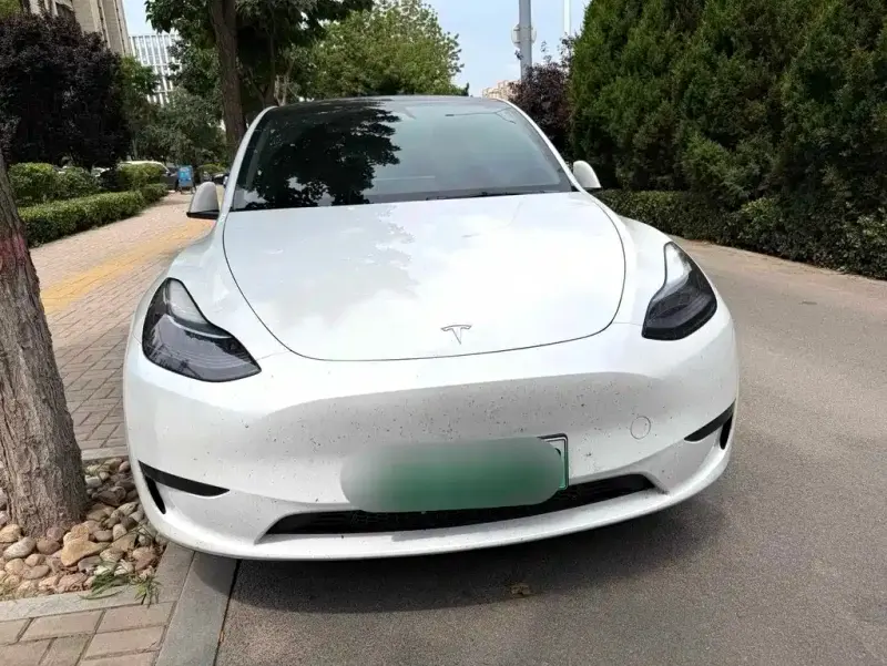 Tesla Model Y, 2024