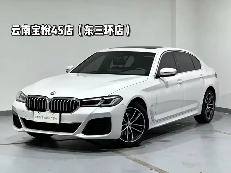 BMW 5 Series, 2021