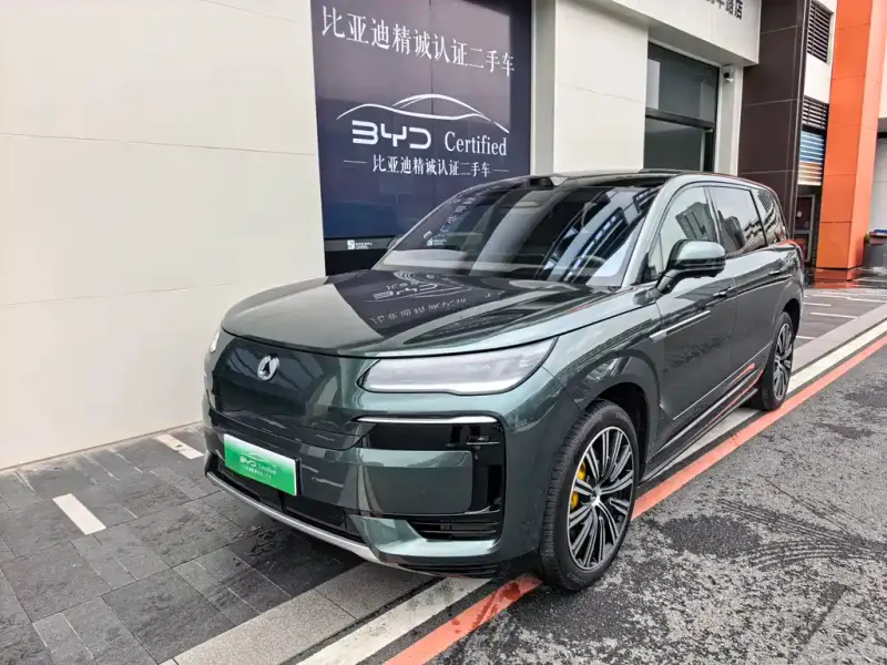 Denza N9, 2025