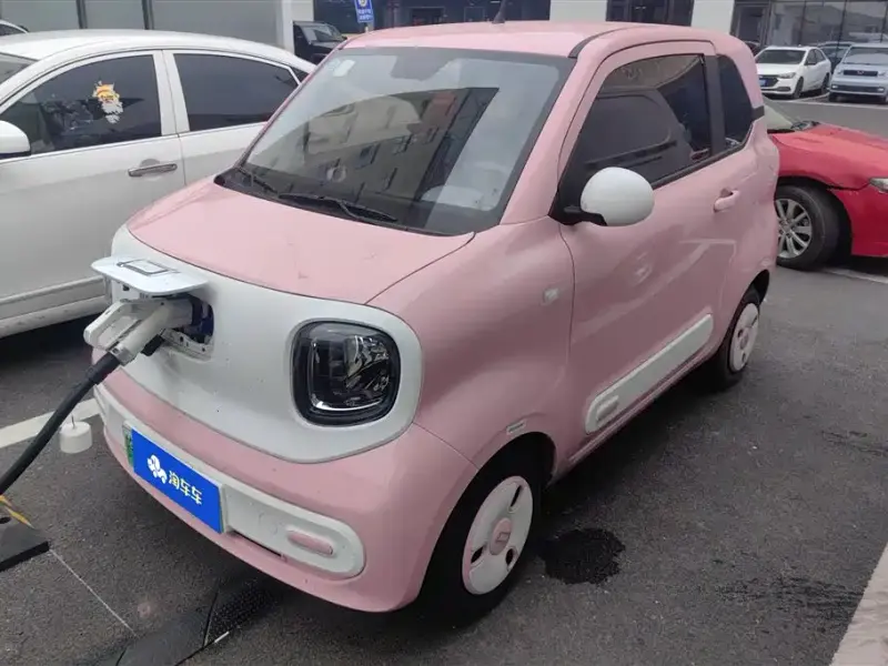 Bestune Pony, 2024