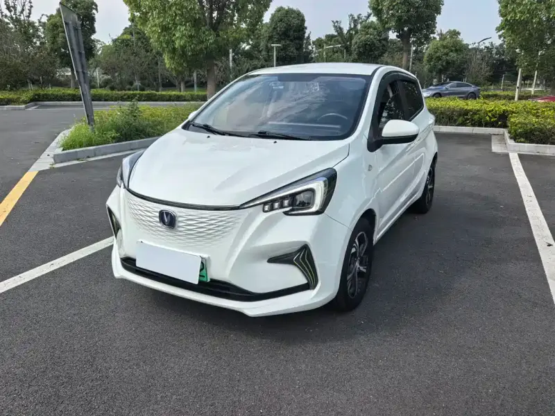 Changan Benben E-Star, 2021