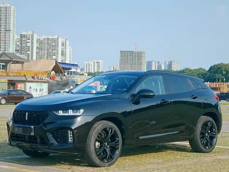 Wey VV7, 2017