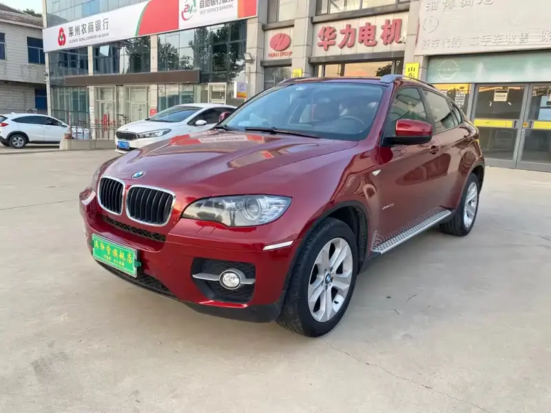 BMW X6, 2010