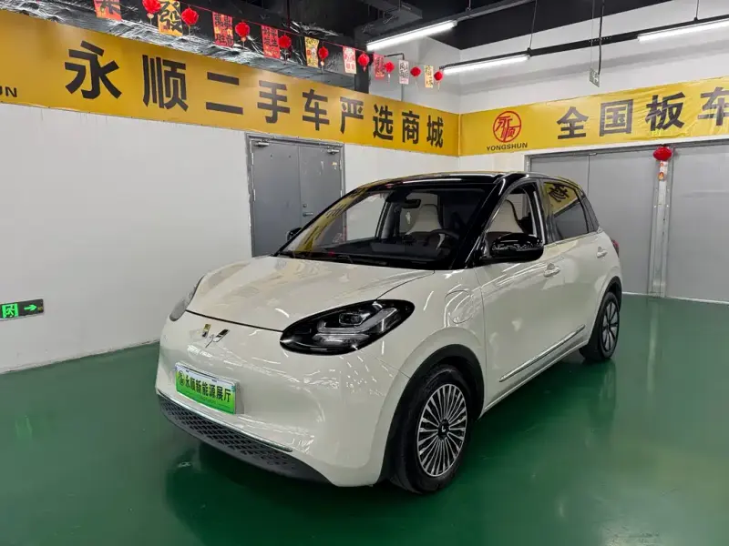 Wuling Bingo, 2023