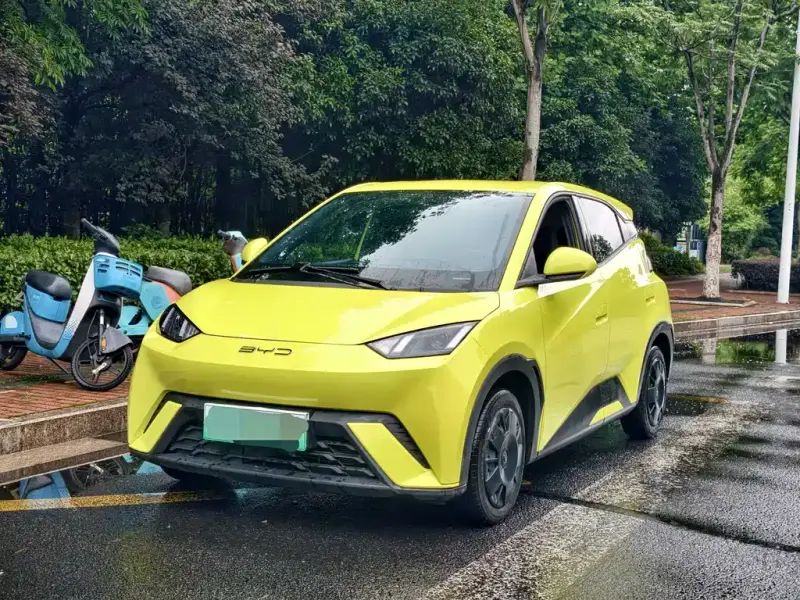 BYD Seagull, 2024