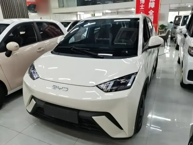 BYD Seagull, 2024