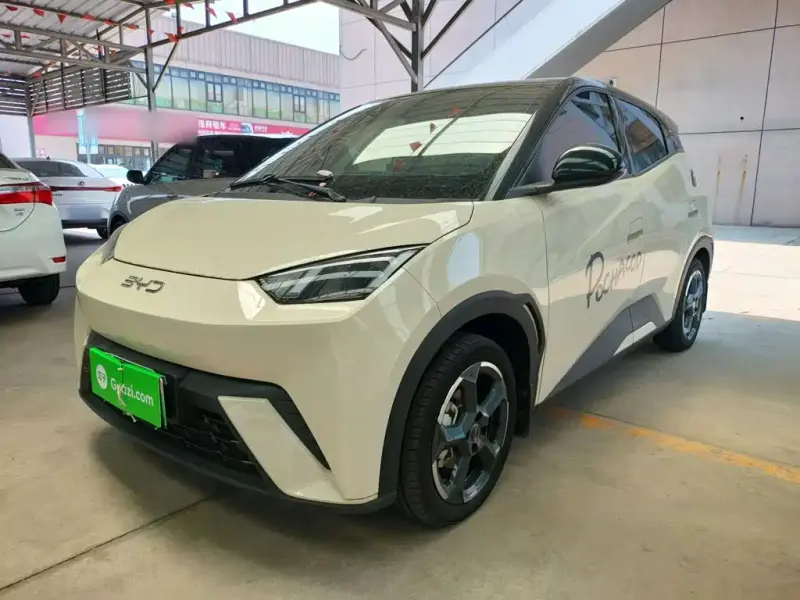 BYD Seagull, 2024