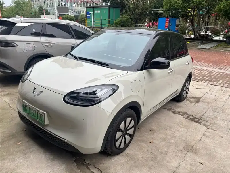 Wuling Bingo, 2025