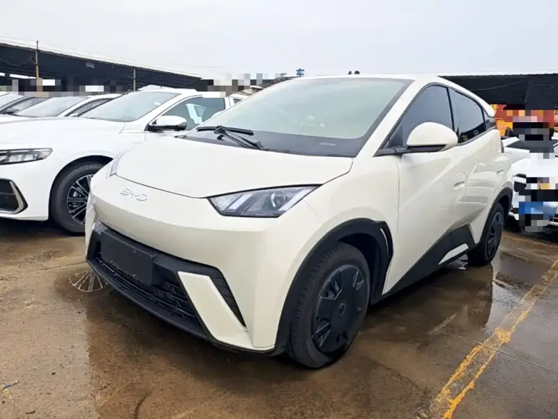 BYD Seagull, 2025