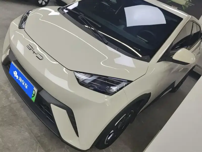 BYD Seagull, 2024
