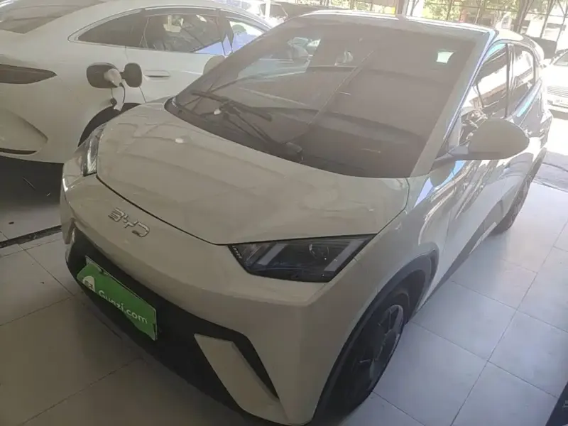 BYD Seagull, 2025