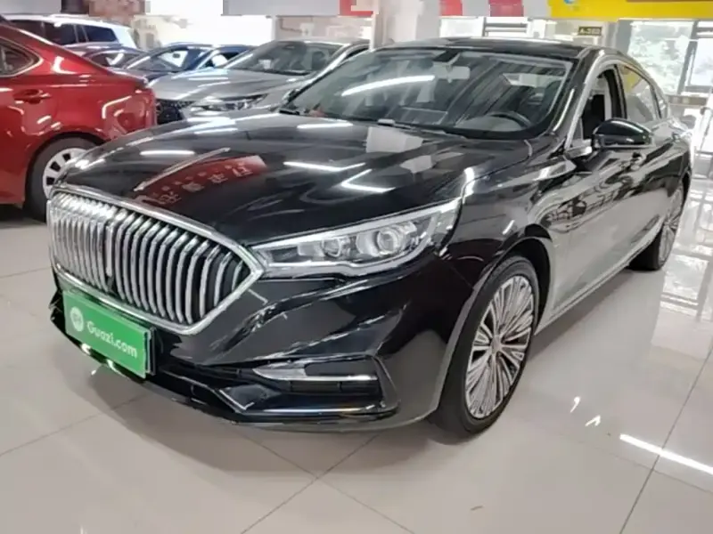 Hongqi H5, 2021