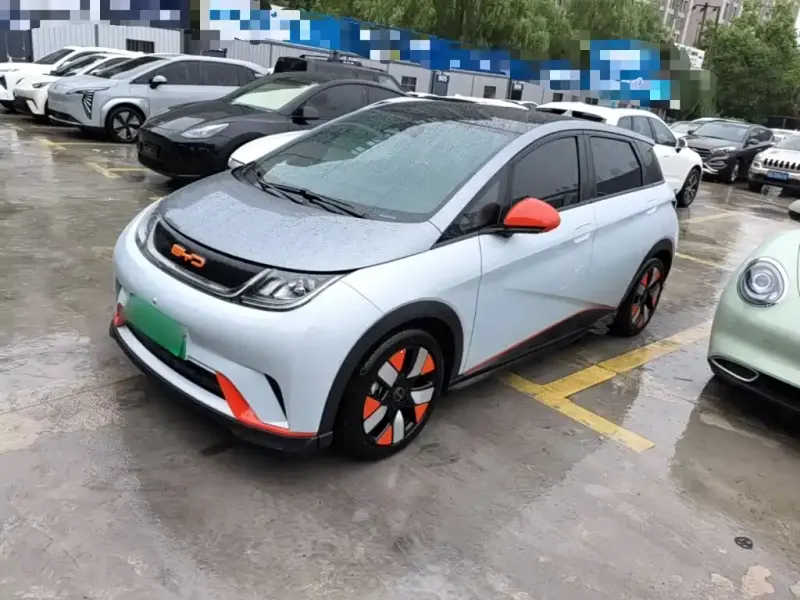 BYD Dolphin, 2022