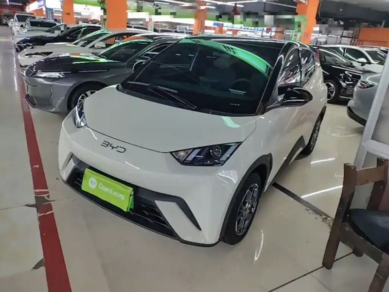 BYD Seagull, 2025