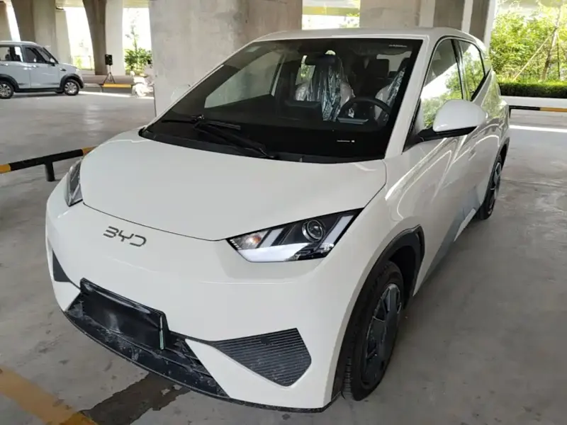 BYD Seagull, 2026