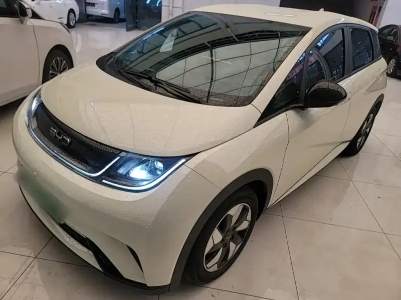 BYD Dolphin, 2024