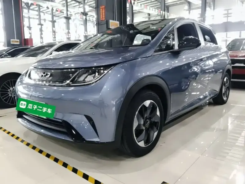 BYD Dolphin, 2024