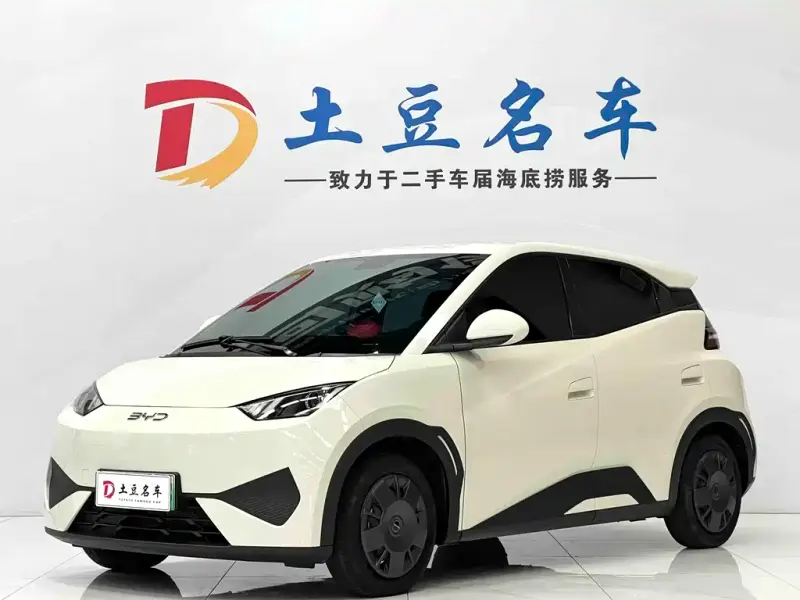 BYD Seagull, 2025