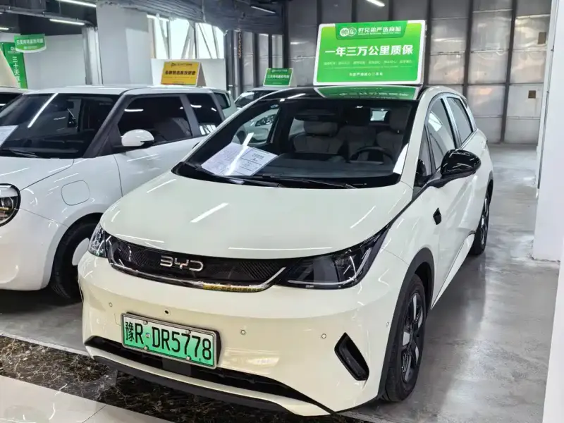 BYD Dolphin, 2025
