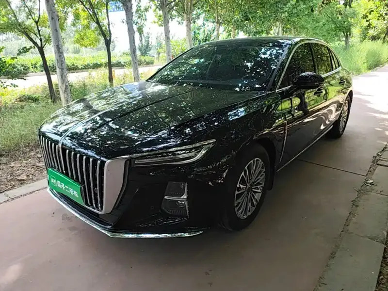 Hongqi H5, 2024